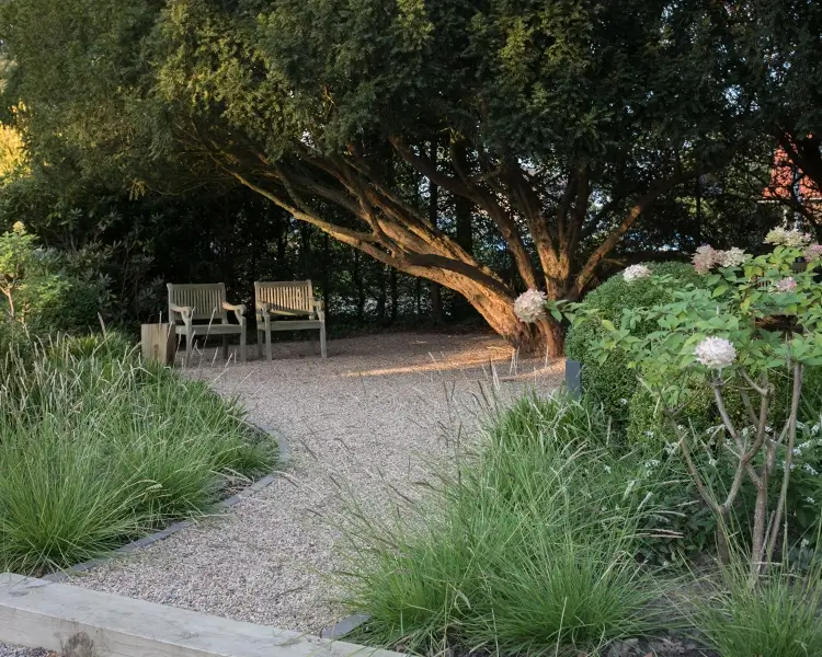 Privatgarten mit 2 Stühlen unter einem großen Baum